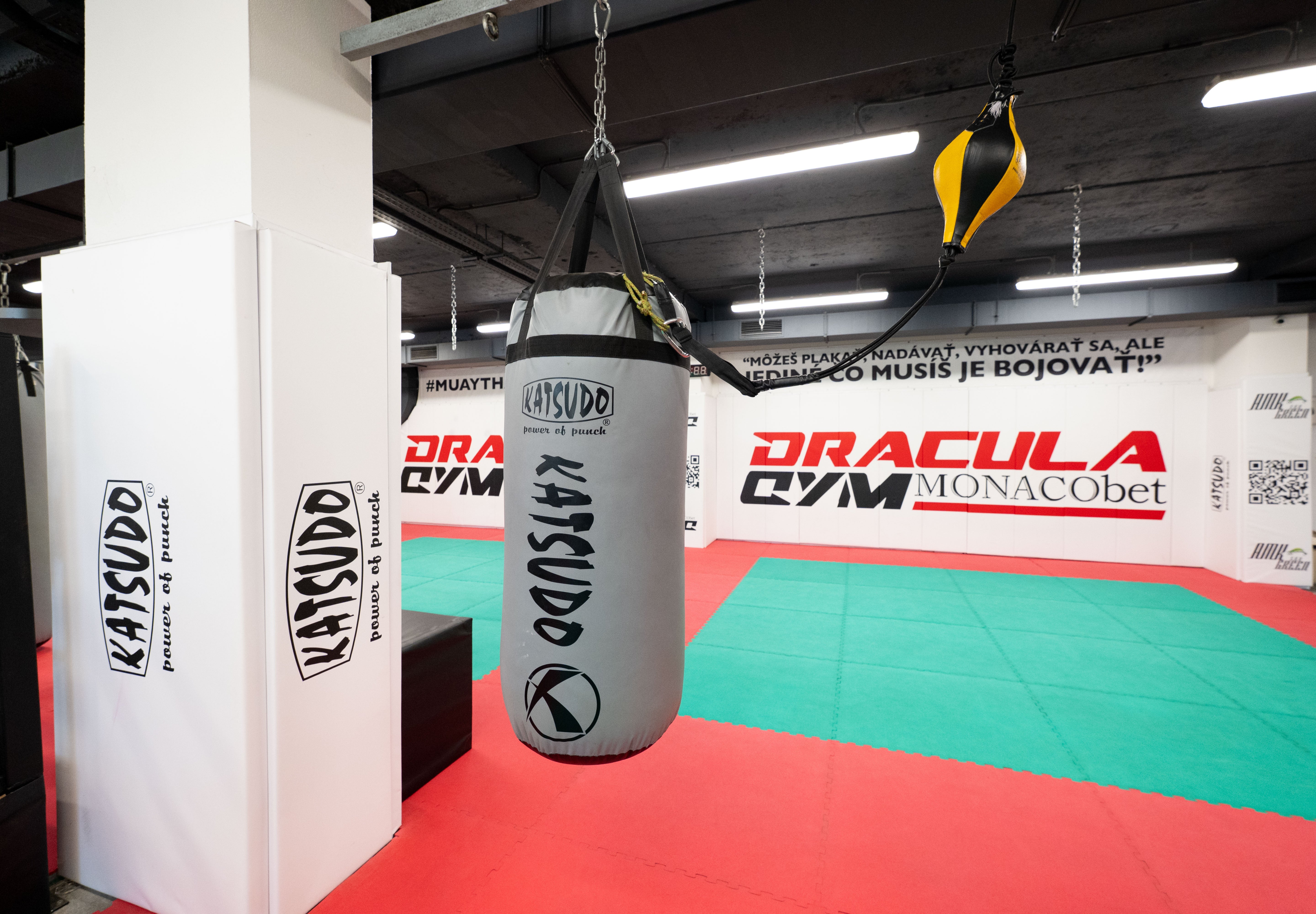 Katsudo boksarska vreča Big boy Pro Boxing, siva