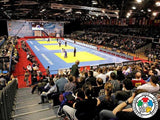 BSW judo tatami, svetlo zelená